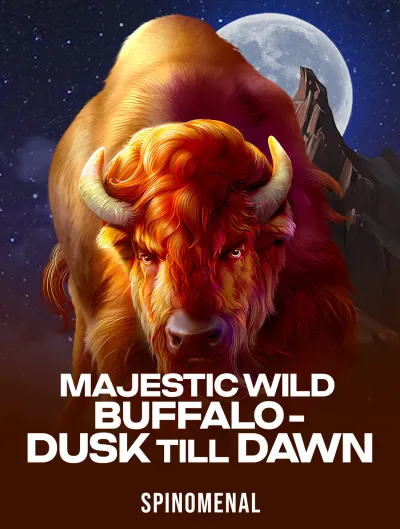 Majestic Wild Buffalo - Dusk Till Dawn